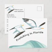 Twee Seagulls Frolicking in Florida Nieuw adres Aankondigingskaart (Voorkant / Achterkant)