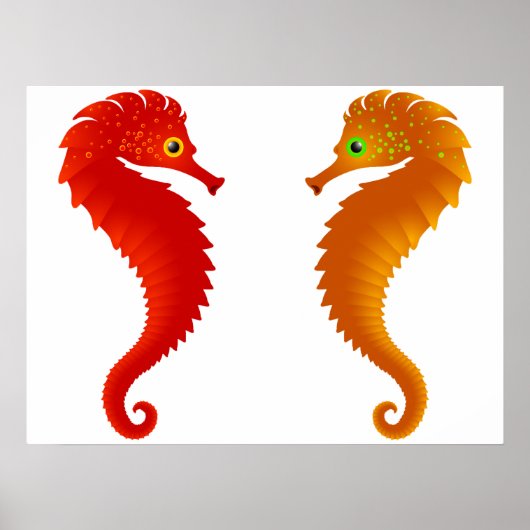 Twee Seapaarden Zee Life Poster (Voorkant)