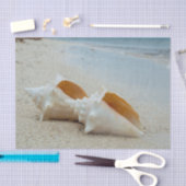 Twee Seashells op de Ocean Beach Tissuepapier (Craft)