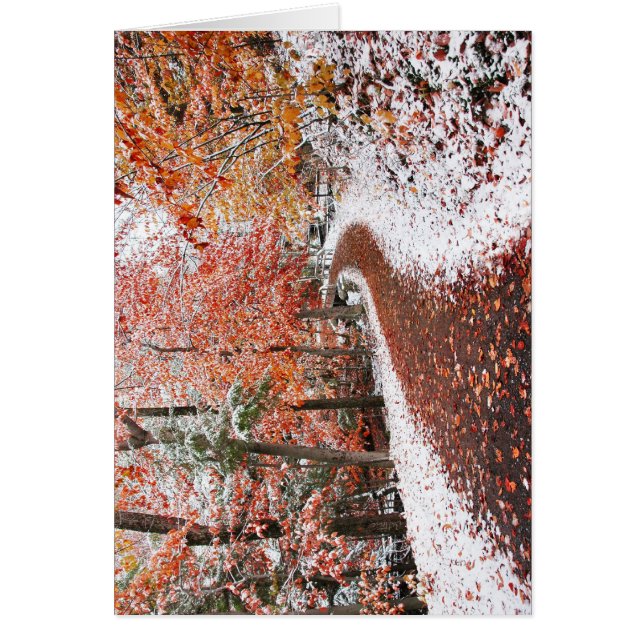 Twee seizoenen (Voorkant)