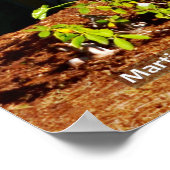 Twee sequoia's poster (Hoek)