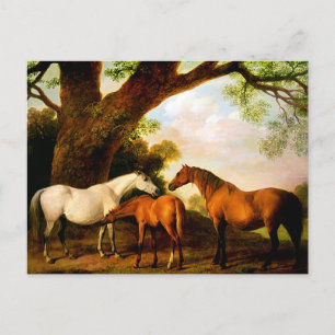 Twee Shafto Mares en een Foal van George Stubbs Briefkaart