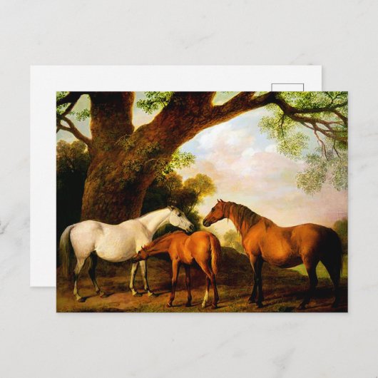 Twee Shafto Mares en een Foal van George Stubbs Briefkaart (Voorkant / Achterkant)