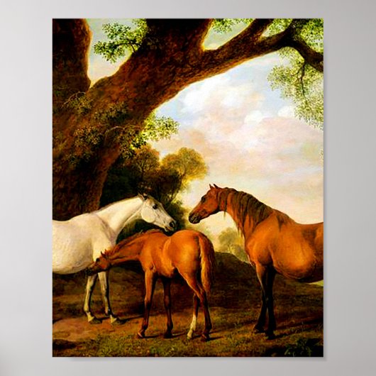 Twee Shafto Mares en een Foal van George Stubbs Poster (Voorkant)