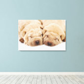 Twee Shar Pei-puppies slapen Canvas Afdruk (Insitu (Houten vloer))