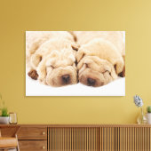 Twee Shar Pei-puppies slapen Canvas Afdruk (Insitu (Woonkamer))