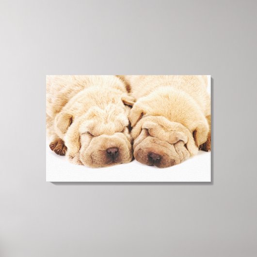 Twee Shar Pei-puppies slapen Canvas Afdruk (Voorkant)