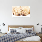 Twee Shar Pei-puppies slapen Canvas Afdruk (Insitu (Slaapkamer))