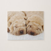 Twee Shar Pei-puppies slapen Legpuzzel (Horizontaal)