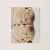 Twee Shar Pei-puppies slapen Legpuzzel (Verticaal)