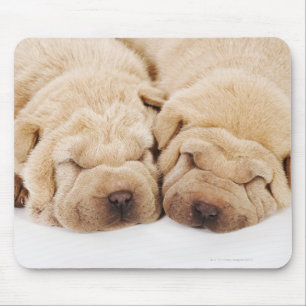 Twee Shar Pei-puppies slapen Muismat