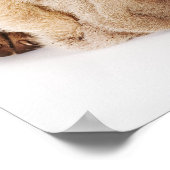 Twee Shar Pei-puppies slapen Poster (Hoek)