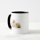 Twee Shar Pei-puppies slapen, studio shot Mok (Voorkant links)