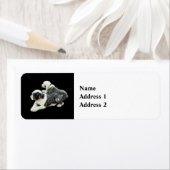 Twee Sheepdogs Etiket (Insitu)