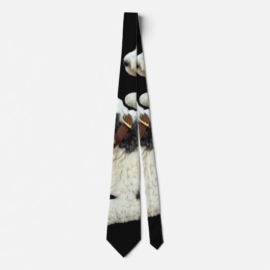 Twee Sheepdogs Stropdas (Voorkant)