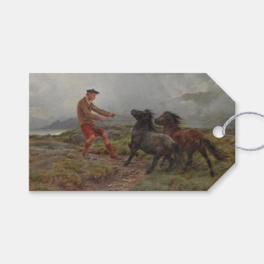 Twee Shetland pony's in een mistig Schots landscha Cadeaulabel (Voorkant (Horizontaal))