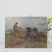 Twee Shetland pony's in een mistig Schots landscha Kaart (Staand voorkant)