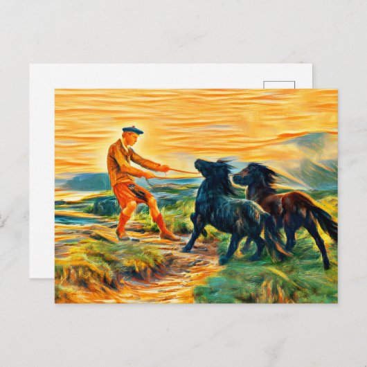 Twee Shetland pony's in een slecht landschap Briefkaart (Voorkant / Achterkant)