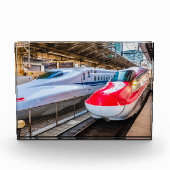 Twee Shinkansen op het Tokyo-station Fotoblokken (Voorkant)
