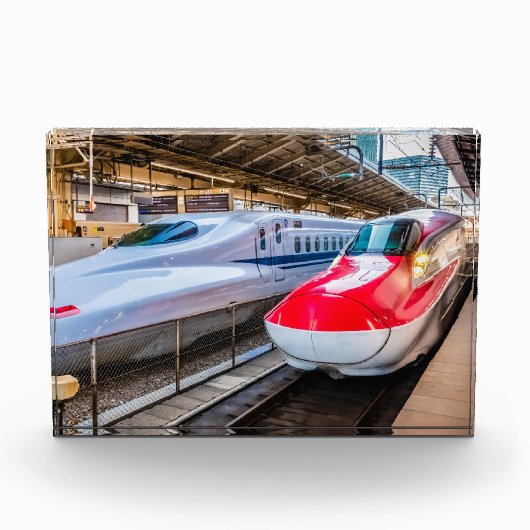 Twee Shinkansen op het Tokyo-station Fotoblokken (Voorkant)