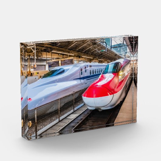 Twee Shinkansen op het Tokyo-station Fotoblokken (Links)