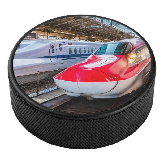 Twee Shinkansen op het Tokyo-station Hockey Puck (3/4)