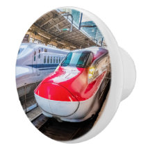 Twee Shinkansen op het Tokyo-station