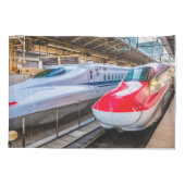 Twee Shinkansen op het Tokyo-station Kussensloop (Achterkant)