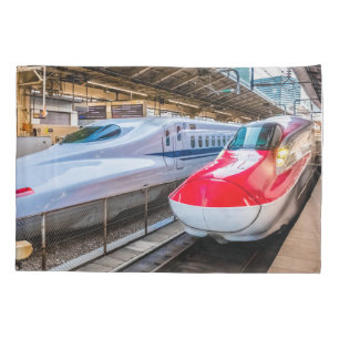 Twee Shinkansen op het Tokyo-station Kussensloop