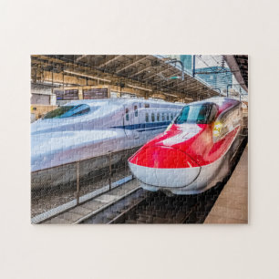 Twee Shinkansen op het Tokyo-station Legpuzzel
