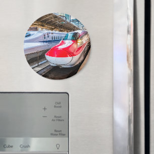 Twee Shinkansen op het Tokyo-station Magneet