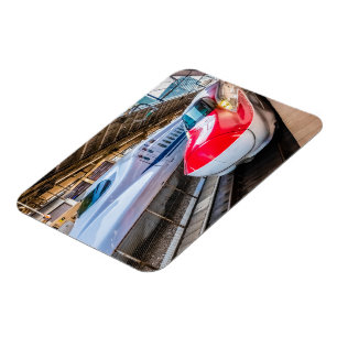 Twee Shinkansen op het Tokyo-station Magneet