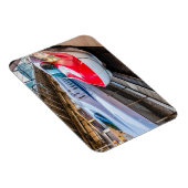 Twee Shinkansen op het Tokyo-station Magneet (Rechterzijde)