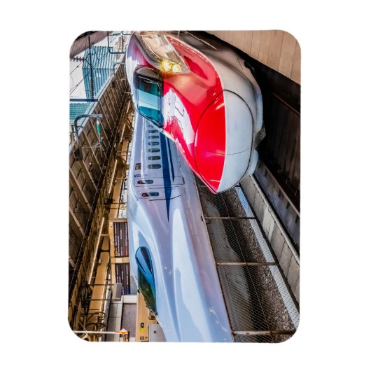 Twee Shinkansen op het Tokyo-station Magneet (Verticaal)