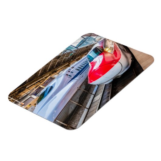 Twee Shinkansen op het Tokyo-station Magneet (Linkerzijde)