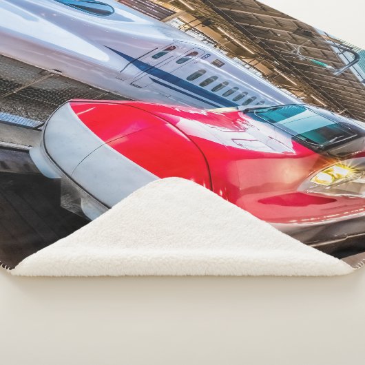 Twee Shinkansen op het Tokyo-station Sherpa Deken (3/4)