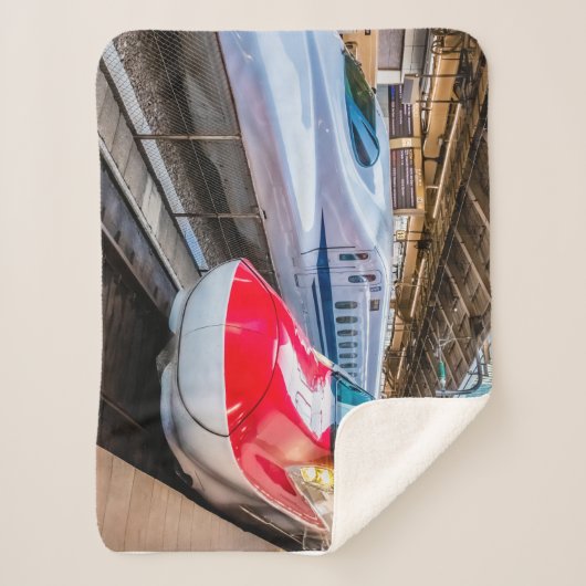 Twee Shinkansen op het Tokyo-station Sherpa Deken (Voorkant)