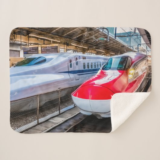 Twee Shinkansen op het Tokyo-station Sherpa Deken (Voorkant (horizontaal))