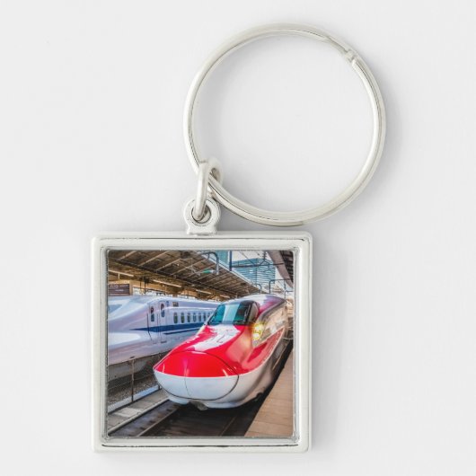 Twee Shinkansen op het Tokyo-station Sleutelhanger (Voorkant)