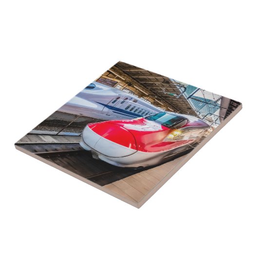 Twee Shinkansen op het Tokyo-station Tegeltje (Zijkant)