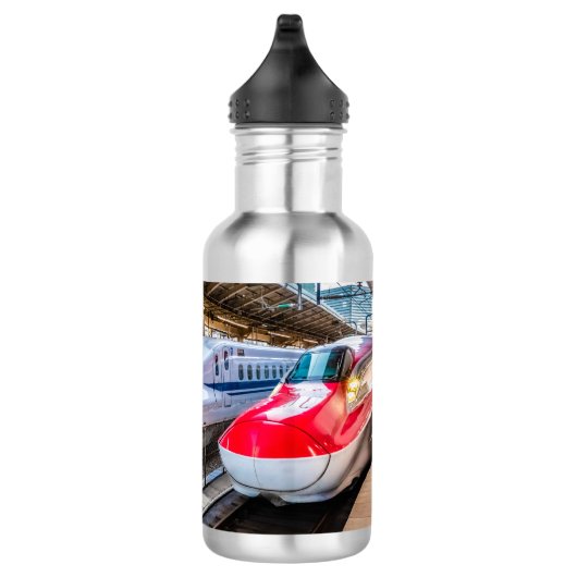 Twee Shinkansen op het Tokyo-station Waterfles (Rechts)