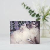 Twee Siamese katten Briefkaart (Staand voorkant)