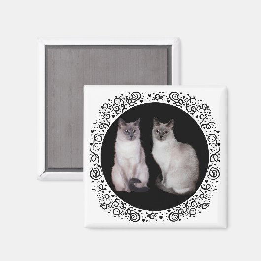 Twee Siamese katten Magneet (Voorkant / Achterkant)