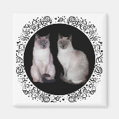 Twee Siamese katten Magneet (Voorkant)