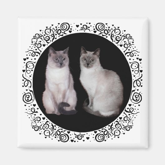Twee Siamese katten Magneet (Voorkant)