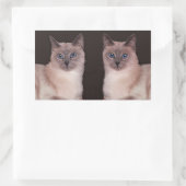 Twee Siamese katten Rechthoekige Sticker (Tas)
