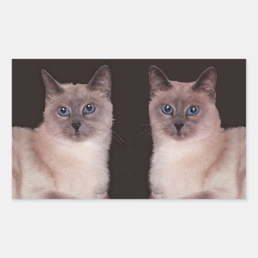 Twee Siamese katten Rechthoekige Sticker (Voorkant)