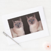 Twee Siamese katten Rechthoekige Sticker (Envelop)