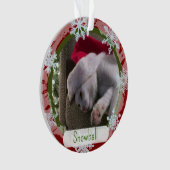 Twee Sided Holiday Photo Lijst Ornament (voorkant)