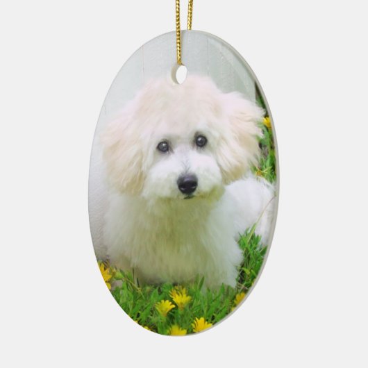 Twee Sided Photo Holiday Ornament (Links)